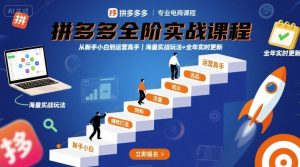 拼多多全阶实战课程，从新手小白到运营高手，海量实战玩法+全年实时更新【2025年10月更新】