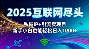 2025网创尽头王炸项目！私域IP+精准引流，新手小白在家躺賺日入1k，零经验也能上手