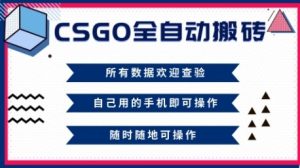CSGO全自动搬砖，年底钱回家好项目，当天可拿到结果，新手小白轻松月入1W+