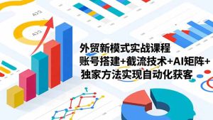 （16496期）外贸新模式实战课程，账号搭建+截流技术+AI矩阵+独家方法实现自动化获客