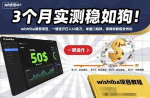 3个月实测稳如狗！wishlba最新项目，一键运行日入50美刀，单窗口躺挣，保姆级教程全给你